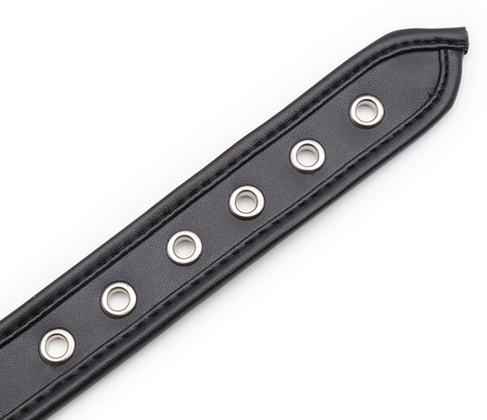 Narrow collar with a subtle metal ring - detail