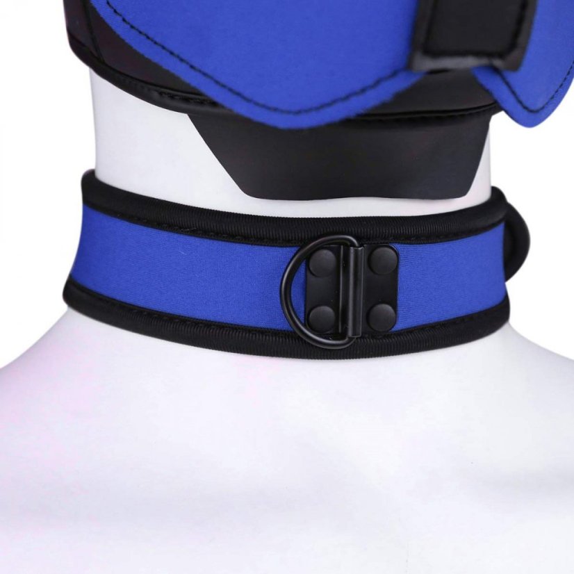 Neoprene collar blue