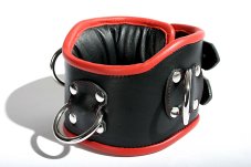 Black leather collar with red trim Black leather collar with red trim
