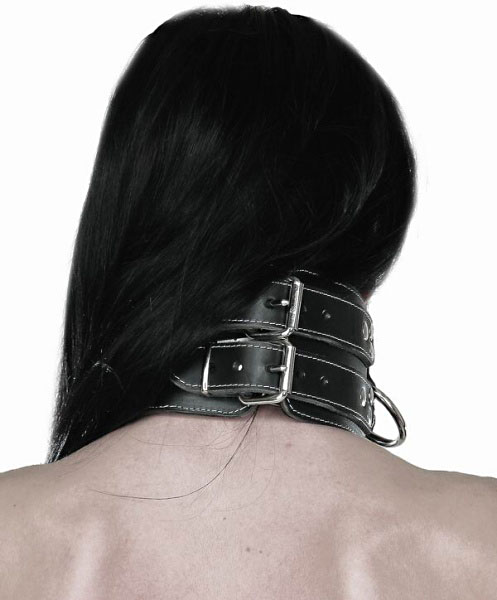 Polstrovaný kožený obojok - pohľad zozadu