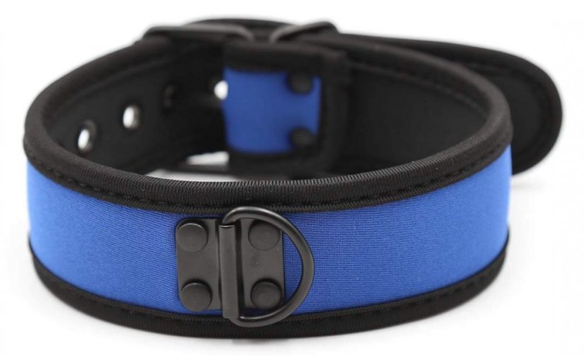 Neoprene collar blue
