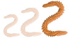 Double Dildo Scolop L 60 x 5 cm Orange - gb30742