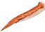 Long Tail Dildo L 50 x 5 cm - gb30041