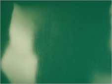 Dark Green Latex