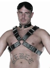 Pánsky kožený prsný postroj