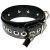 BDSM collars