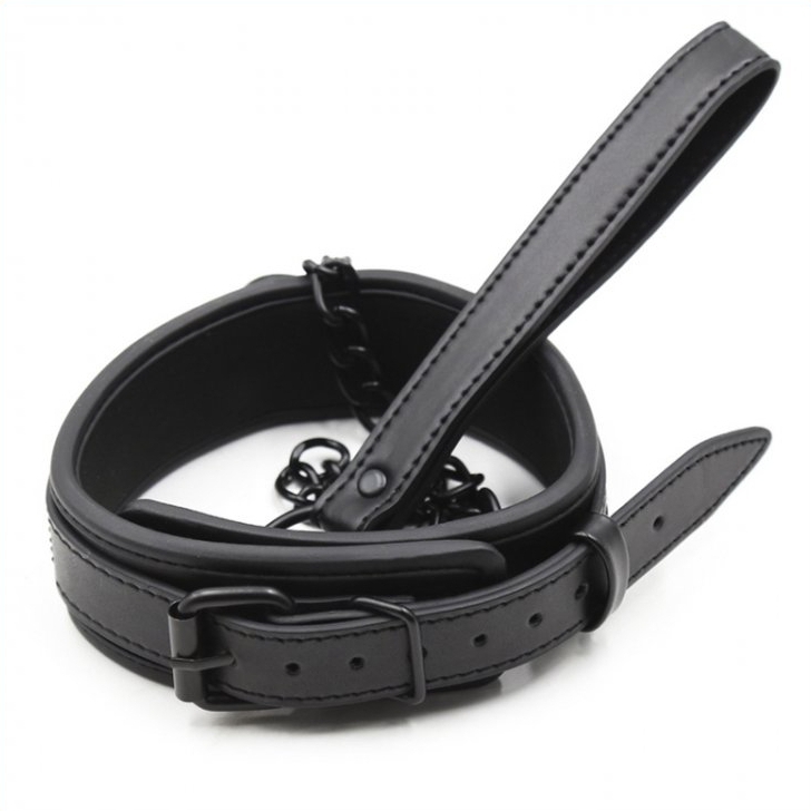 Obojok s vodítkom - gb18992