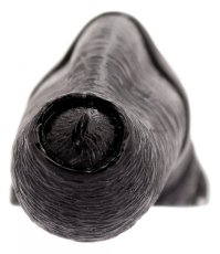 Black dildo