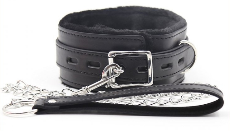 Uzamykateľný obojok s vodítkom