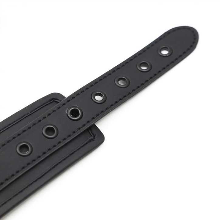 Obojok s vodítkom - gb18991