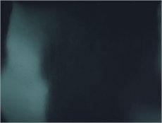 Perleťový páv modrý latex