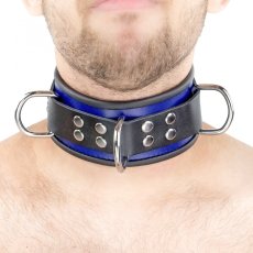 Kožený obojok "The Red" modro-čierny s lemovaním