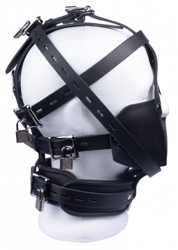 Lockable leather head harness