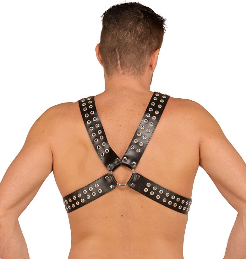 Kožený hrudný postroj s dvojradovými prackami - pohľad zozadu
