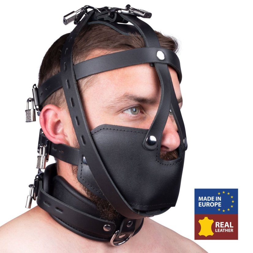 Lockable leather head harness