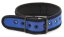 Neoprene collar blue
