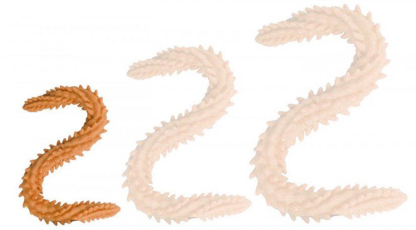 Double dildo Scolop S 40 x 3 cm Orange - gb20920