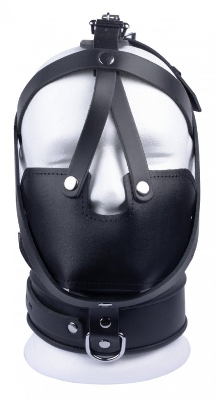 Lockable leather head harness