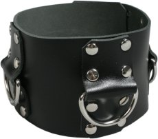 Kožený obojok s pútacími kruhmi - detail