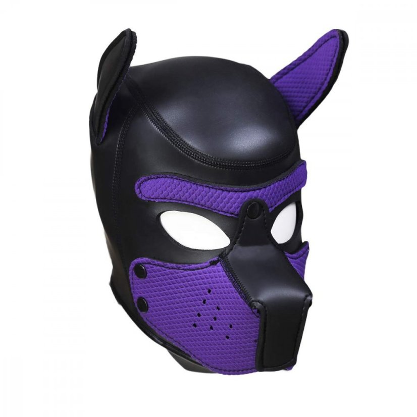 Neoprene dog hood black-purple