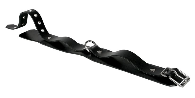 Basic leather collar - unfastened