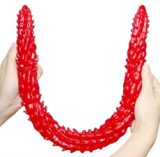 Long Dildo Barded 60 x 4 cm Red - gb41023
