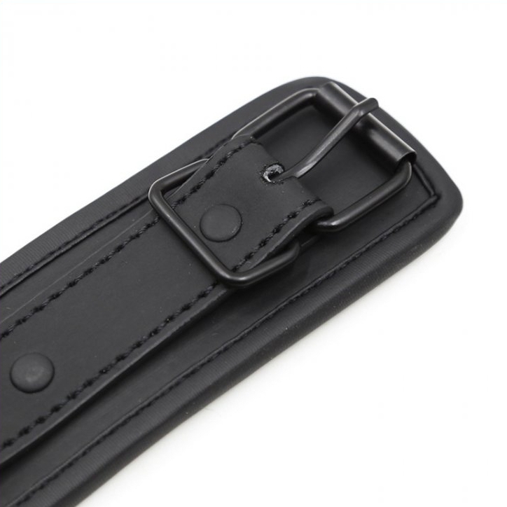 Obojok s vodítkom - gb18991