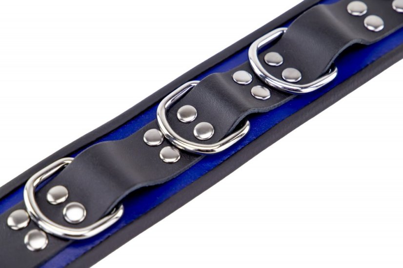 Kožený obojok "The Red" modro-čierny s lemovaním