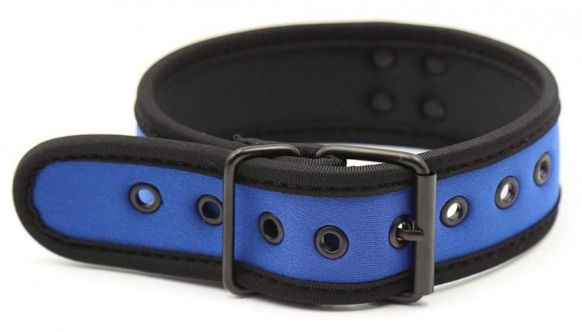 Neoprene collar blue