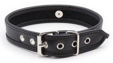 Úzky obojok s decentným kovovým krúžkom - pohľad zozadu