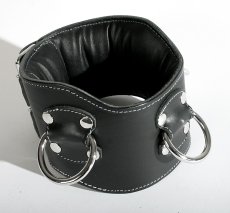 Polstrovaný kožený obojek