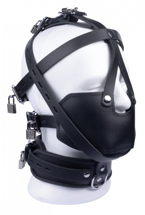 Lockable leather head harness