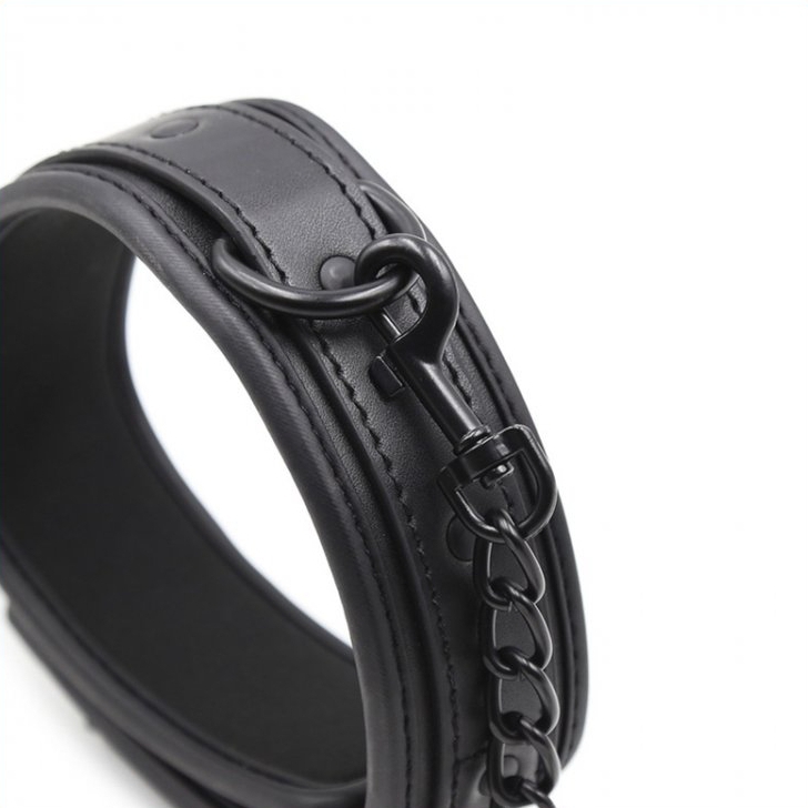 Obojok s vodítkom - gb18992