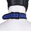 Neoprene collar blue