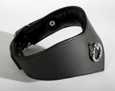 Leather pointed collar Leather pointed collar