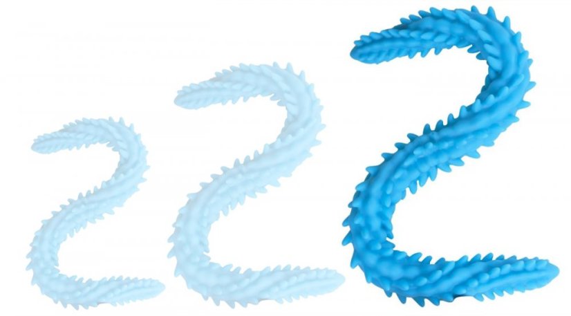 Double Dildo Scolop L 60 x 5 cm Blue - gb44579