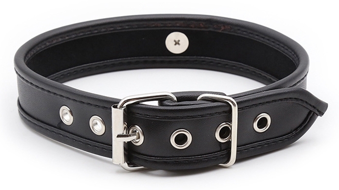 Narrow collar with a subtle metal ring - back view