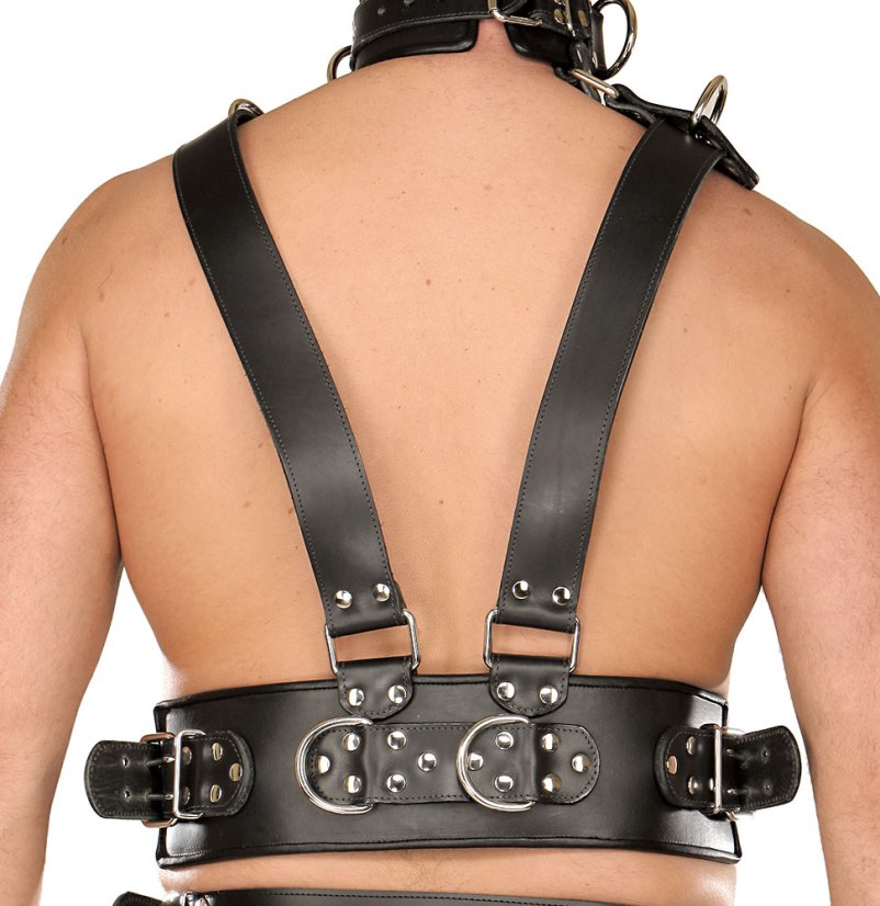 Masívny postroj z hrubej kože (polstrovaný) - detail zozadu