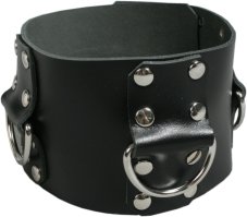 Kožený obojok s pútacími kruhmi - detail