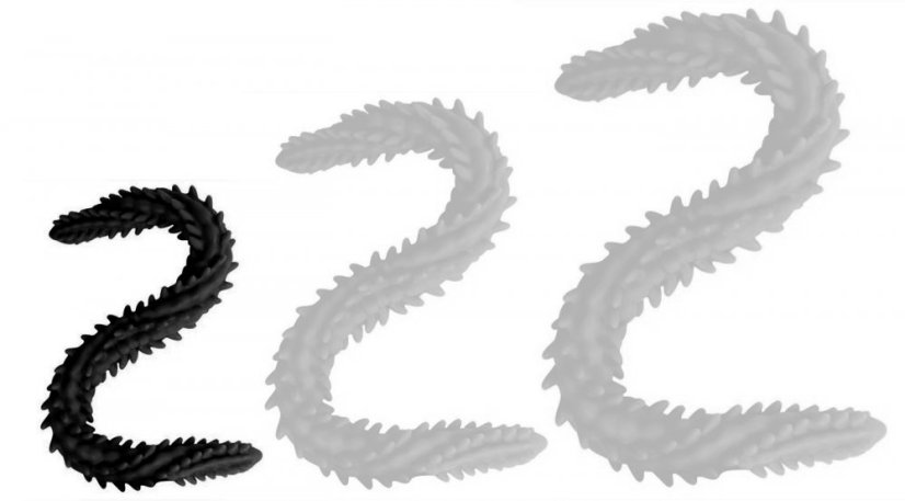 Double Dildo Scolop S 40 x 3 cm Black - gb23494 (Skladem)