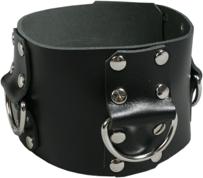 Kožený obojok s pútacími kruhmi - detail