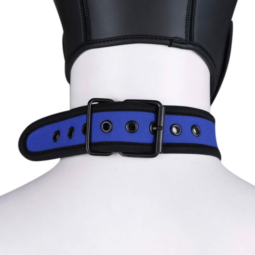 Neoprene collar blue
